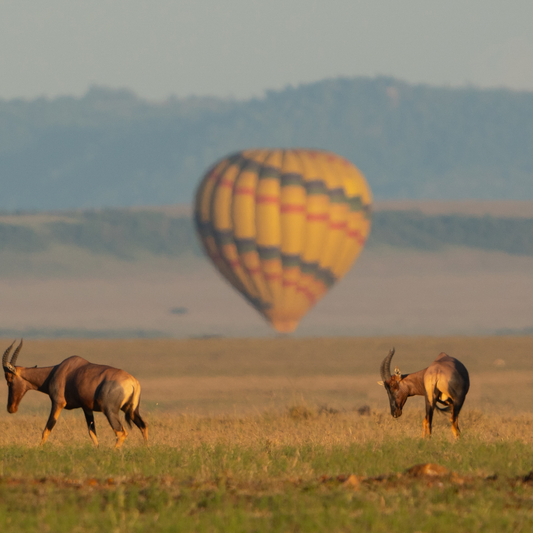 Hot Air Balloon Safari Adventures