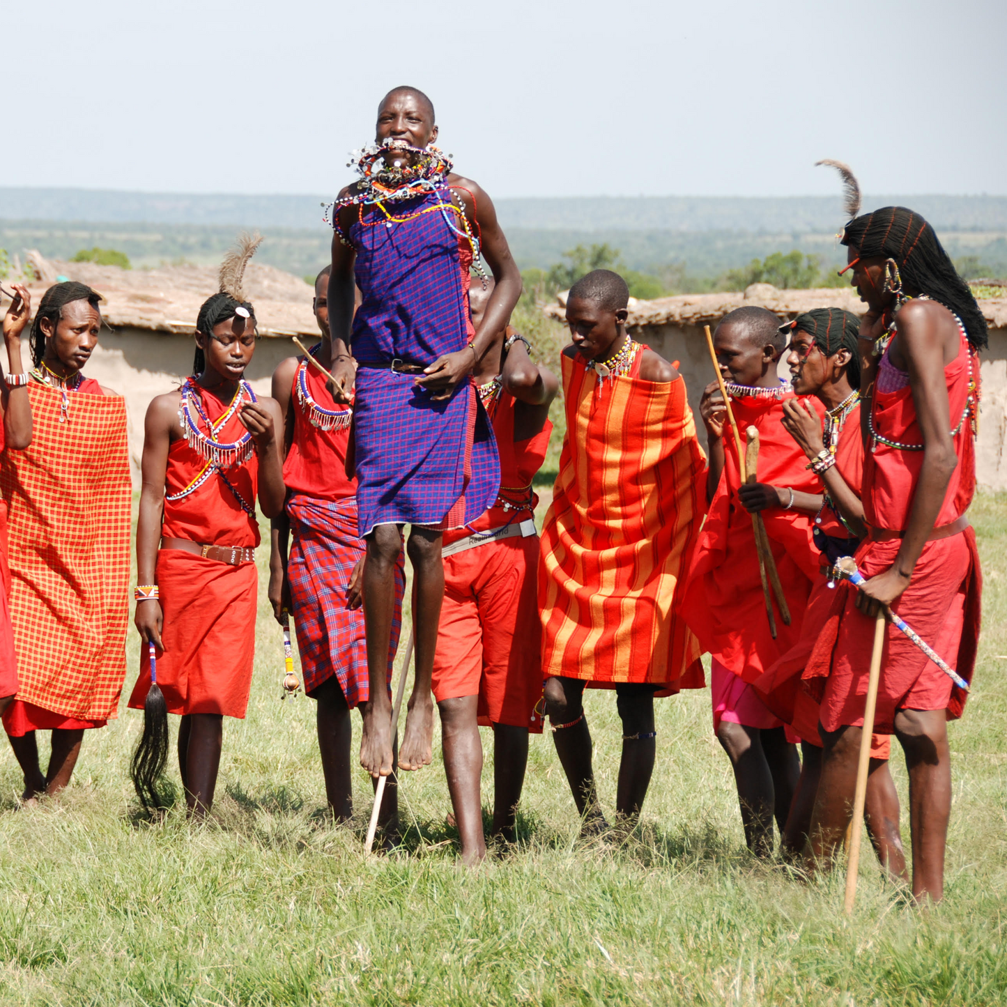 Safari & Cultural Maasai Tours